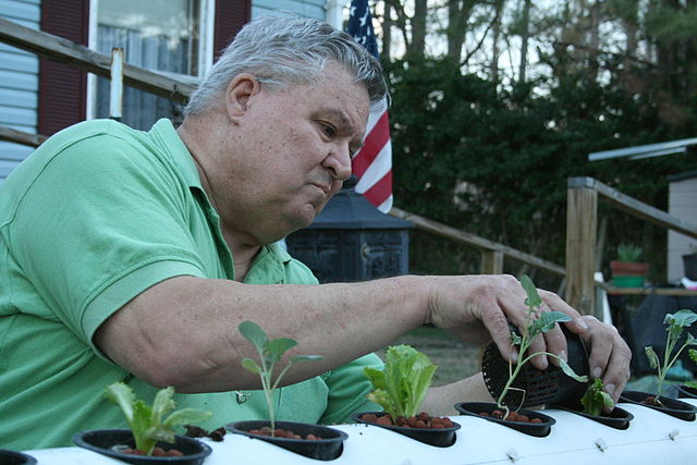 Home Hydroponic System