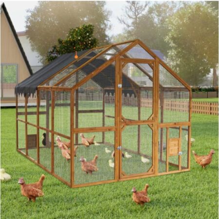 Outdoor Chicken Coop