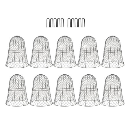 Thickened Plant Protector