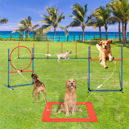 Dog Training Equipmen